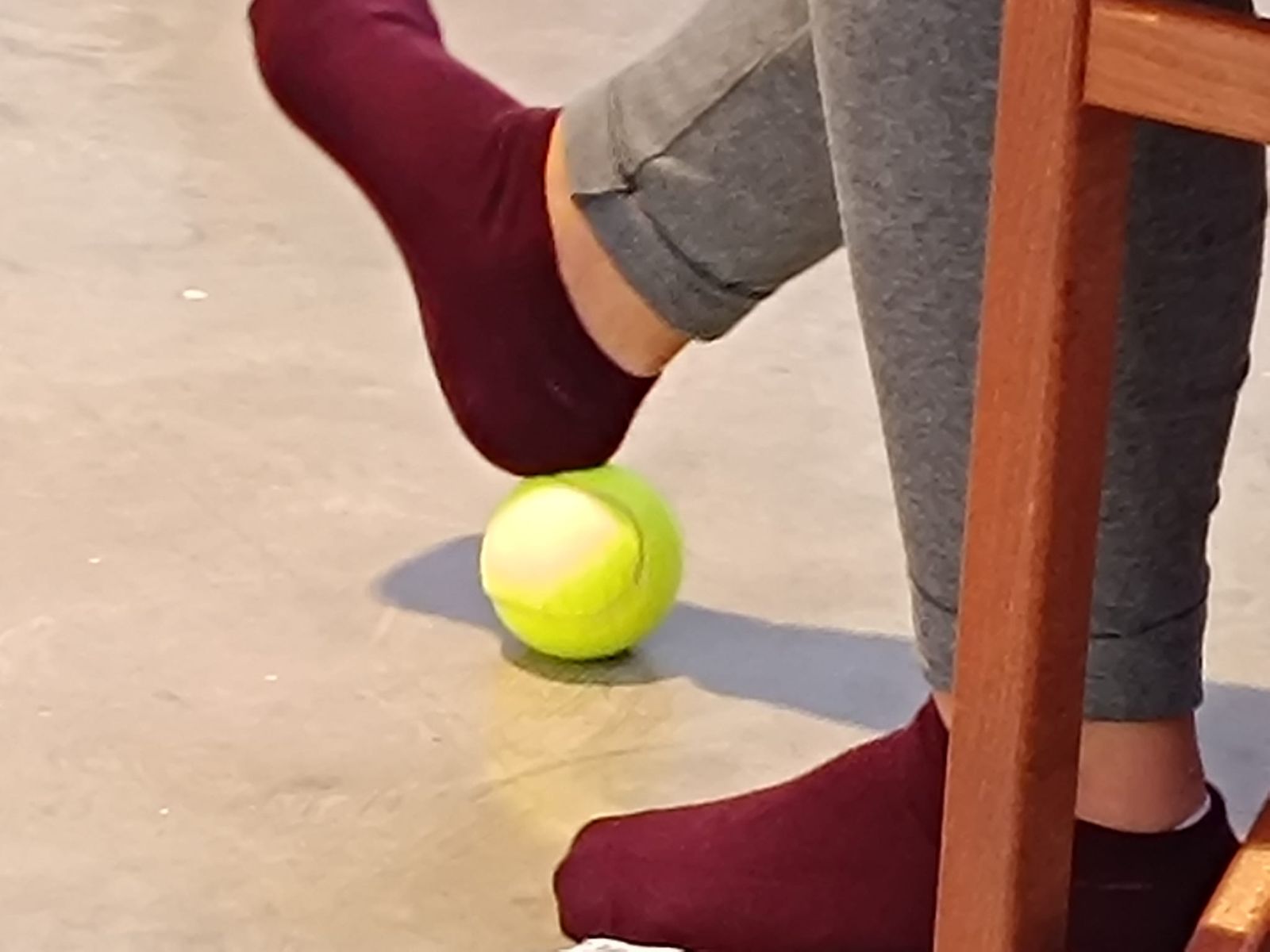 Activitats 27254b09 fcff 4778 8b2b b9092c236d87