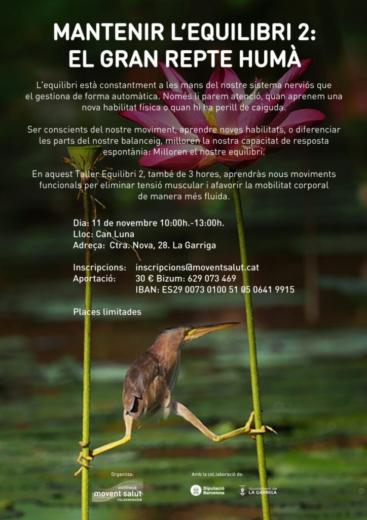 Activitats 9ca509fb d71f 4186 b383 7503fc4e1652