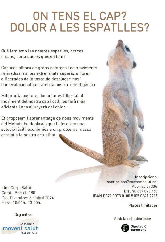 cartell casp i espatlla suricataa4 corpo ai